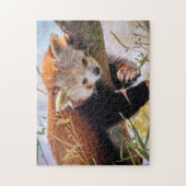 Roodrode panda legpuzzel (Verticaal)