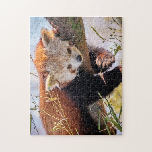 Roodrode panda legpuzzel (Verticaal)