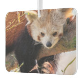 Roodrode panda luchtverfrisser (Links)