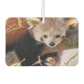 Roodrode panda luchtverfrisser (Voorkant)