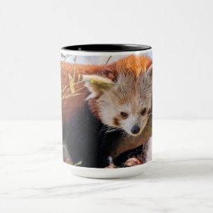 Roodrode panda mok