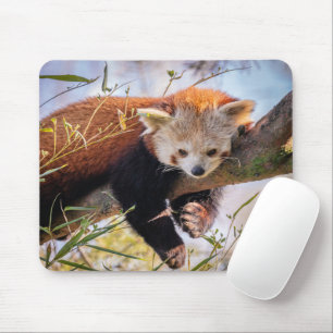 Roodrode panda muismat