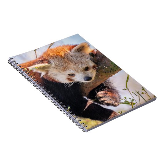 Roodrode panda notitieboek (Rechterzijde)