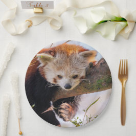 Roodrode panda papieren bordje