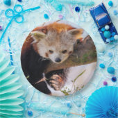 Roodrode panda papieren bordje (Feest)