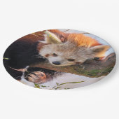 Roodrode panda papieren bordje (Gekanteld)