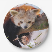 Roodrode panda papieren bordje (Voorkant)