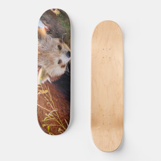 Roodrode panda persoonlijk skateboard (Voorkant)