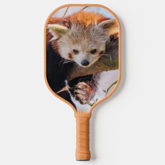 Roodrode panda pickleball paddle (Voorkant)