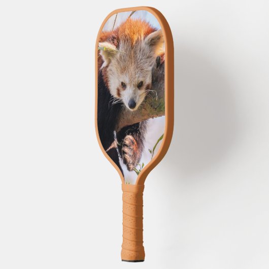 Roodrode panda pickleball paddle (Links)