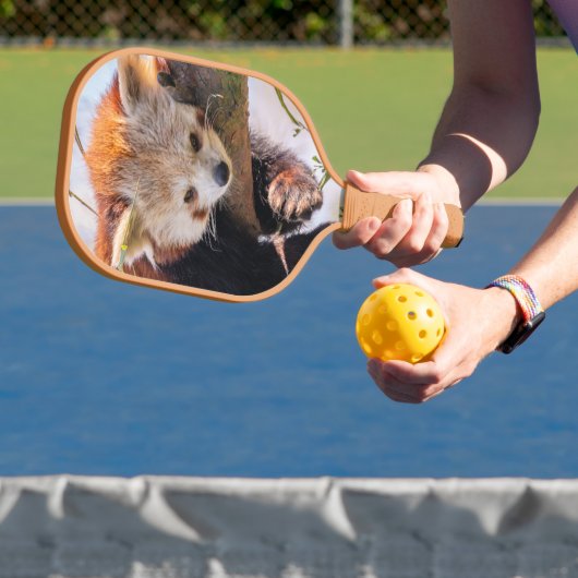 Roodrode panda pickleball paddle (Insitu)
