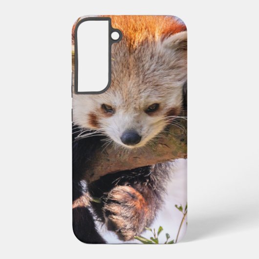 Roodrode panda samsung galaxy hoesje (Achterkant)