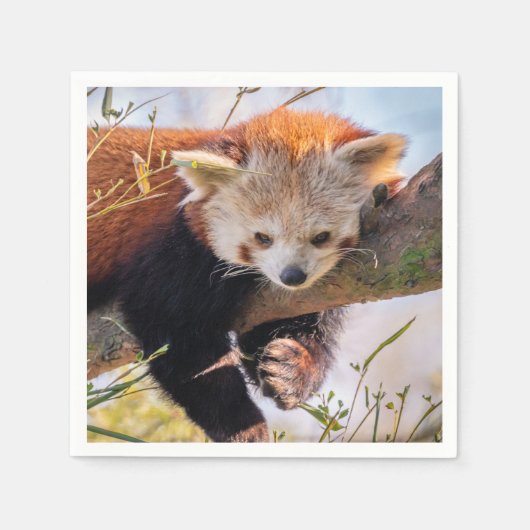 Roodrode panda servet (Voorkant)