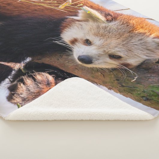 Roodrode panda sherpa deken (3/4)