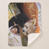 Roodrode panda sherpa deken (Voorkant)