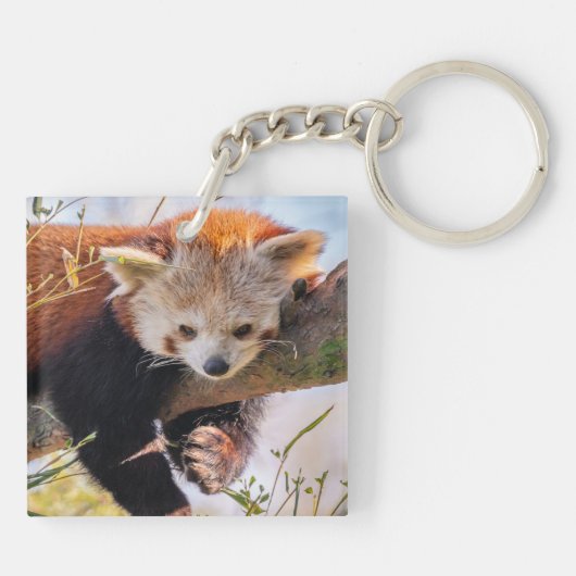 Roodrode panda sleutelhanger (Achterkant)