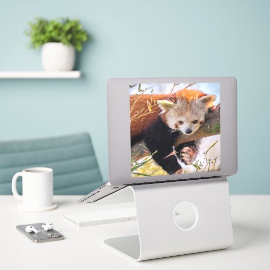 Roodrode panda sticker (Laptop op bureau)