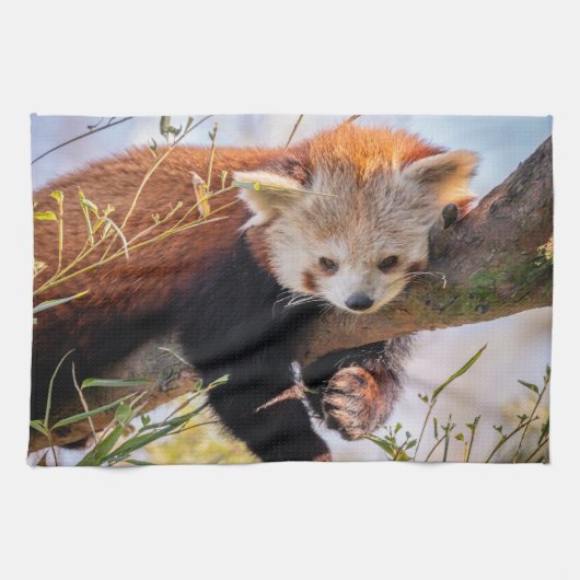 Roodrode panda theedoek (Horizontaal)