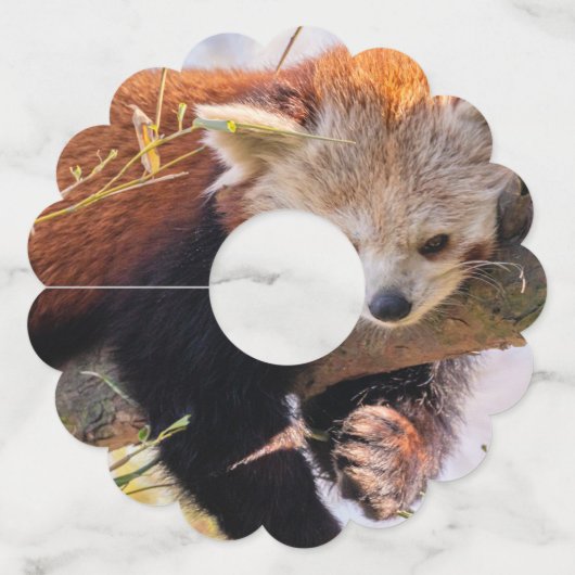 Roodrode panda wijnglaslabel (Voorkant)