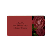 Roodrode roze door Shirley Taylor gekraakt Etiket (Voorkant)