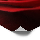 Roodrode roze poster (Hoek)