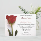 Roodroodroodbruin Kaart (Staand voorkant)