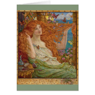 roodroos en bustvliegen;