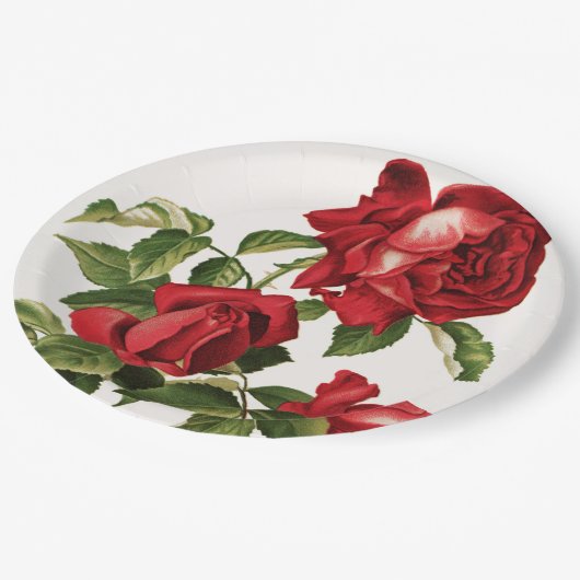  roodroos papieren bordje (Gekanteld)