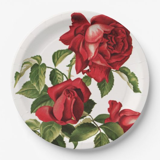  roodroos papieren bordje (Voorkant)