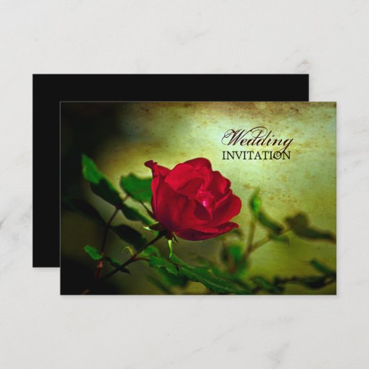 roodroos steampunk gothische bruiloft kaart (Voorkant / Achterkant)