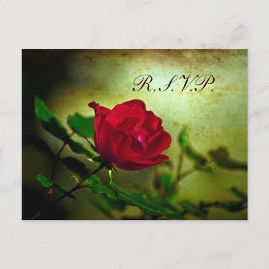 roodroos steampunk gothische bruiloft uitnodiging briefkaart (Voorkant)