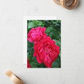 Roodroze pioen notitiekaartje (Voorkant / Achterkant in situ)