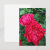 Roodroze pioen notitiekaartje (Voorkant / Achterkant)