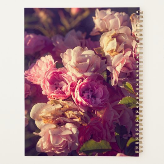 Roodrozen struikgewas personaliseren planner (Achterkant)