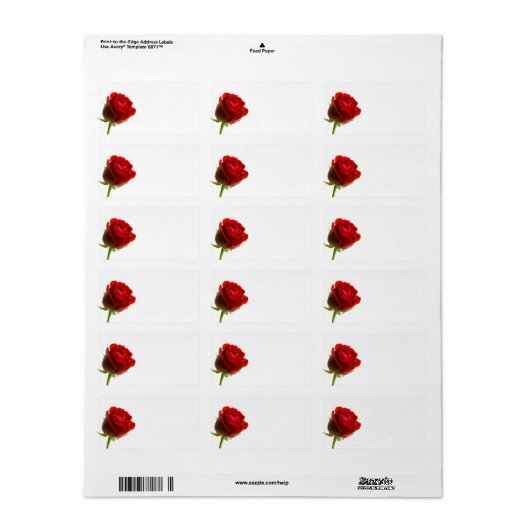 RoodrozenAdresetiketten Etiket (Full Sheet)