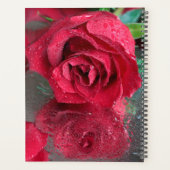 Roodrozenweddenschap Planner (Achterkant)