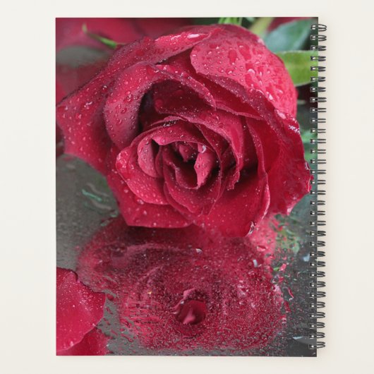 Roodrozenweddenschap Planner (Achterkant)