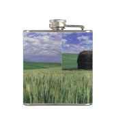 Roodschuur op het veld tarwe en gerst in Whitman 2 Heupfles (Achterkant)