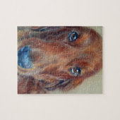 Roodsetterhond Legpuzzel (Horizontaal)