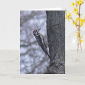 Roodsnavel-Sapsucker Specht Leeg Kaart (Gele Bloem)