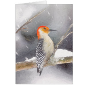 Roodsnavel-specht Schilderij Originele Vogel Kunst