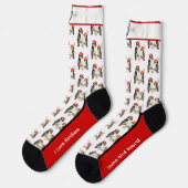 Roodsnavel Specht Sokken (Links)