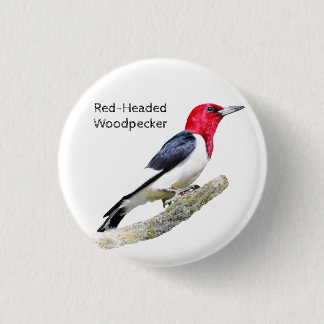 Roodsnavelspecht Ronde Button 3,2 Cm
