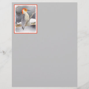 Roodsnavelspecht Schilderij Originele Vogel Kunst