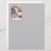 Roodsnavelspecht Schilderij Originele Vogel Kunst (Voorkant / Achterkant)