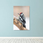 Roodsnavspecht mannetje canvas afdruk (Insitu (Houten vloer))