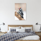 Roodsnavspecht mannetje canvas afdruk (Insitu (Slaapkamer))