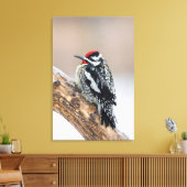 Roodsnavspecht mannetje canvas afdruk (Insitu (Woonkamer))