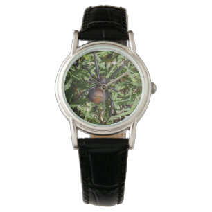 Roodspin op groene gras, horloge