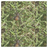 Roodspin op groene gras, stof (Close Up)